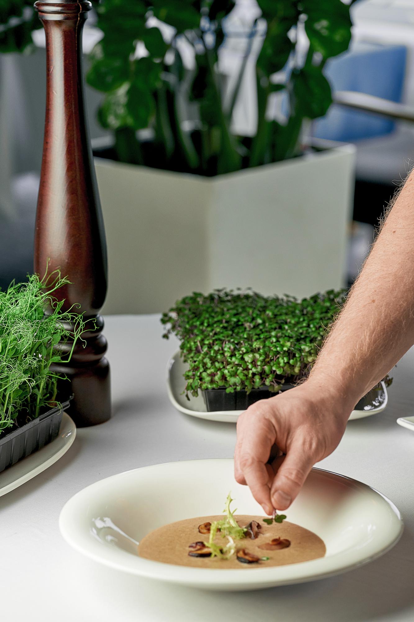 Chef arranging a tasting plate with herbs